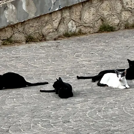 Casa Santa Croce Σπίτι διακοπών *